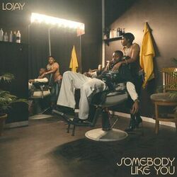 Cover of Somebody Like You