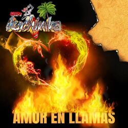 Cover of Amor En Llamas