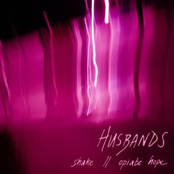 Cover of Shake