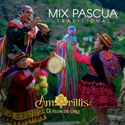 Cover of Mix Pascua Tradicional by undefined
