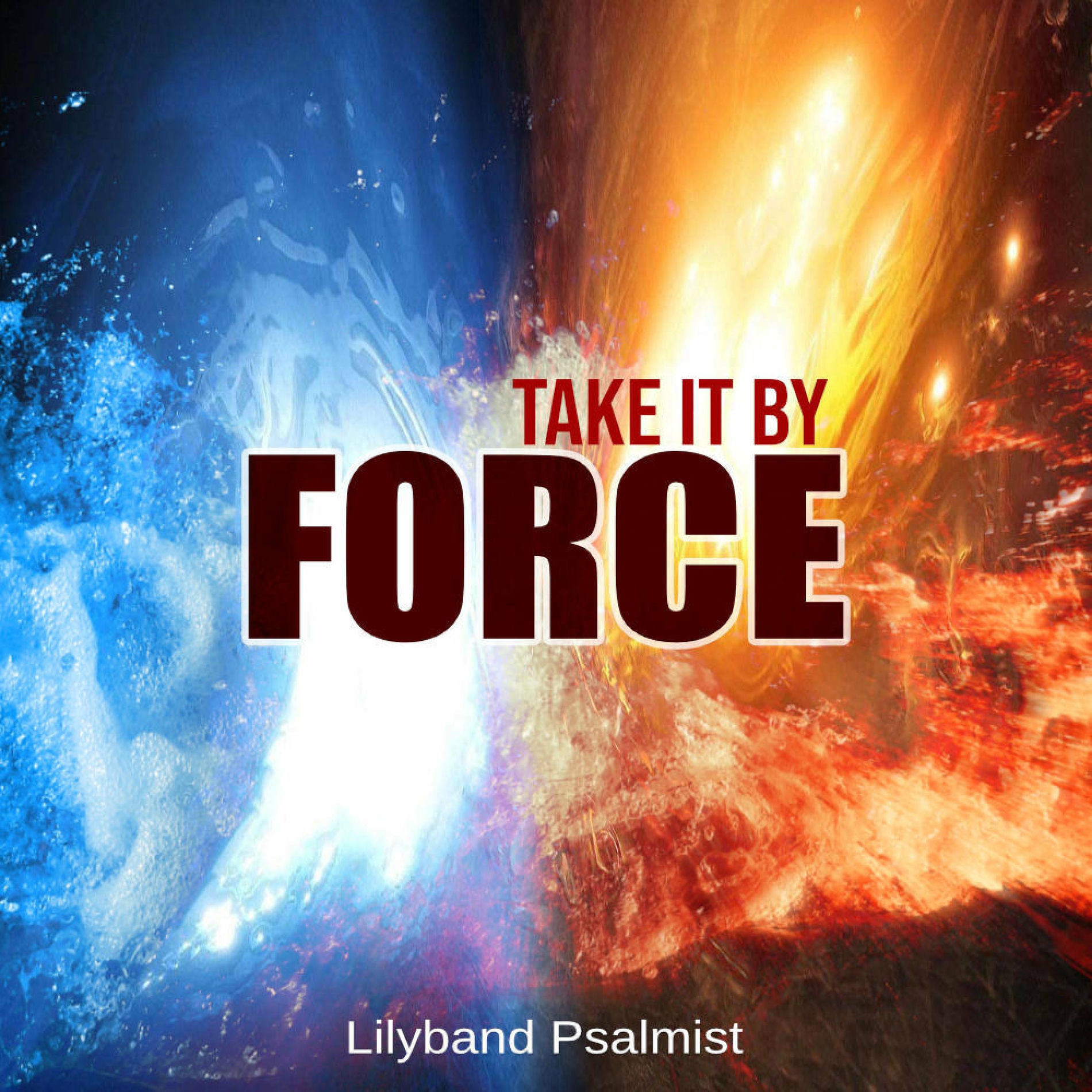 Album cover of Take It By Force