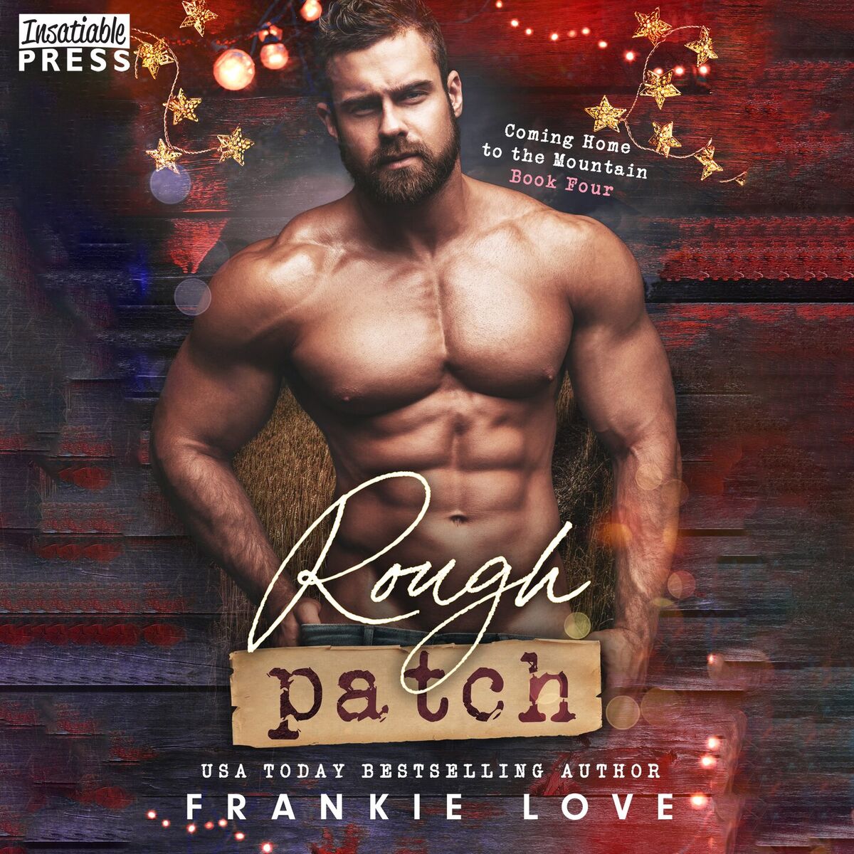 Album cover of Rough Patch - Coming Home to the Mountain, Book 4 (Unabridged)