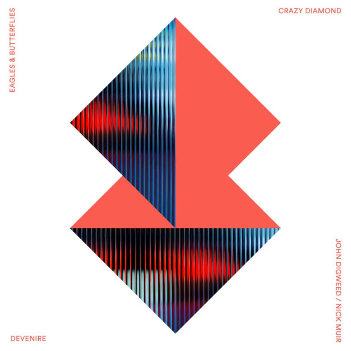 Album cover of Crazy Diamond