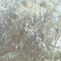 Vivid