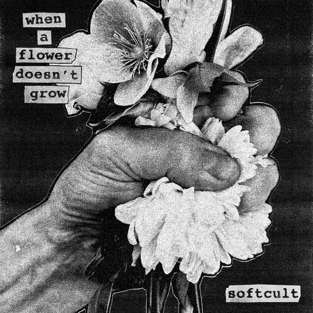 Pill To Swallow