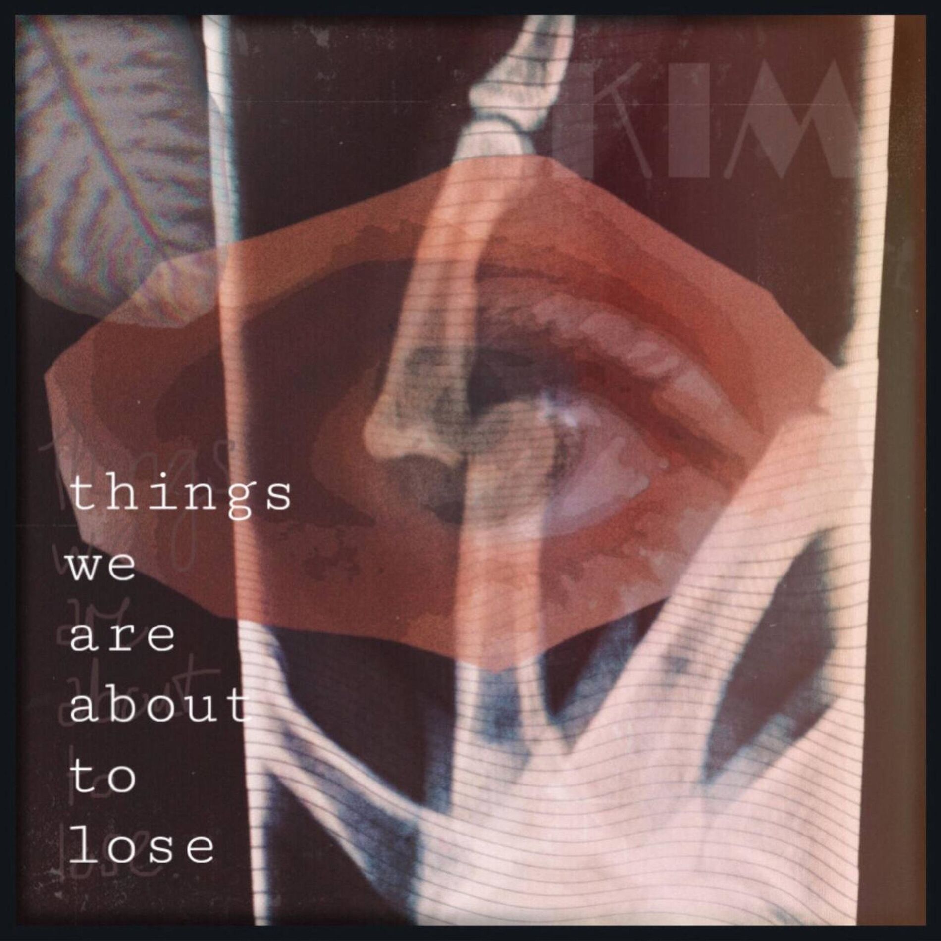 Album cover of things we are about to lose