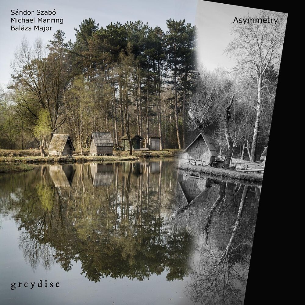 Picture of Asymmetry
