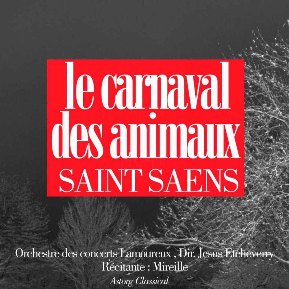 Picture of Camille Saint Saens : Le carnaval des animaux