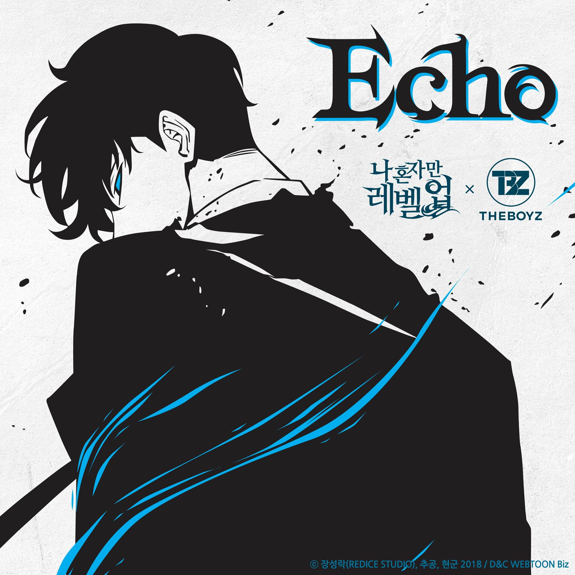 Album cover of Echo