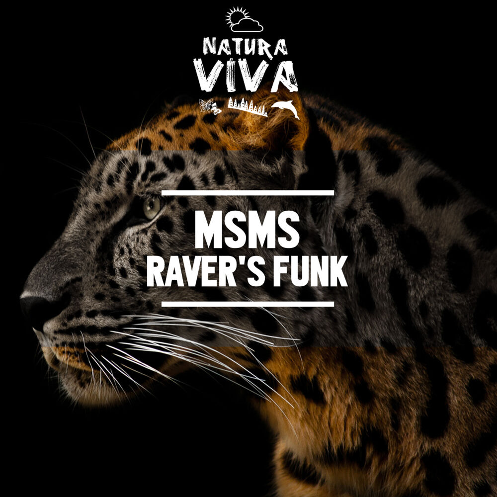Picture of Raver's Funk