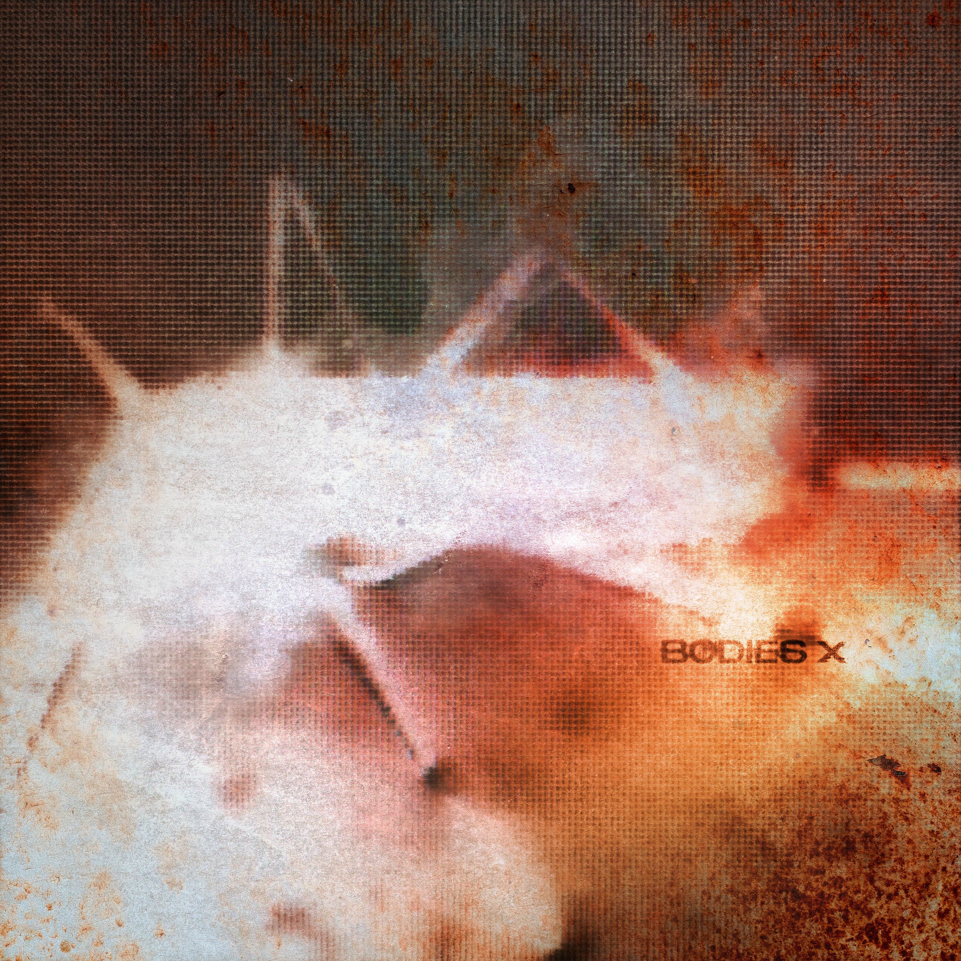 Album cover of BODIES X