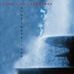 Cover of Think I Need It Too