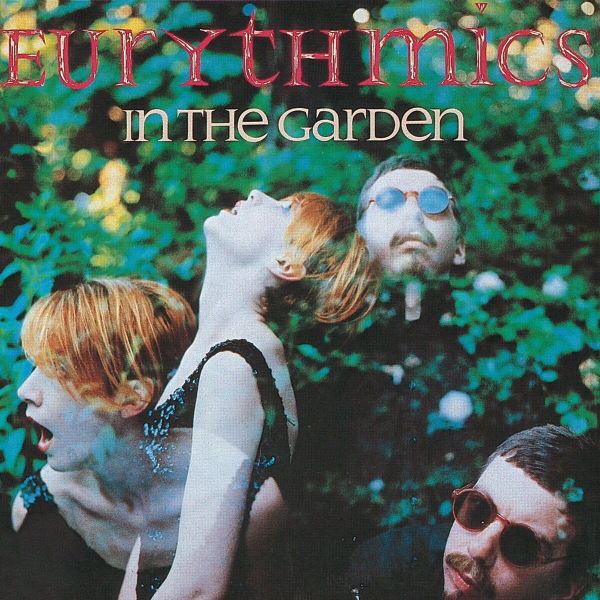 Album cover of In The Garden