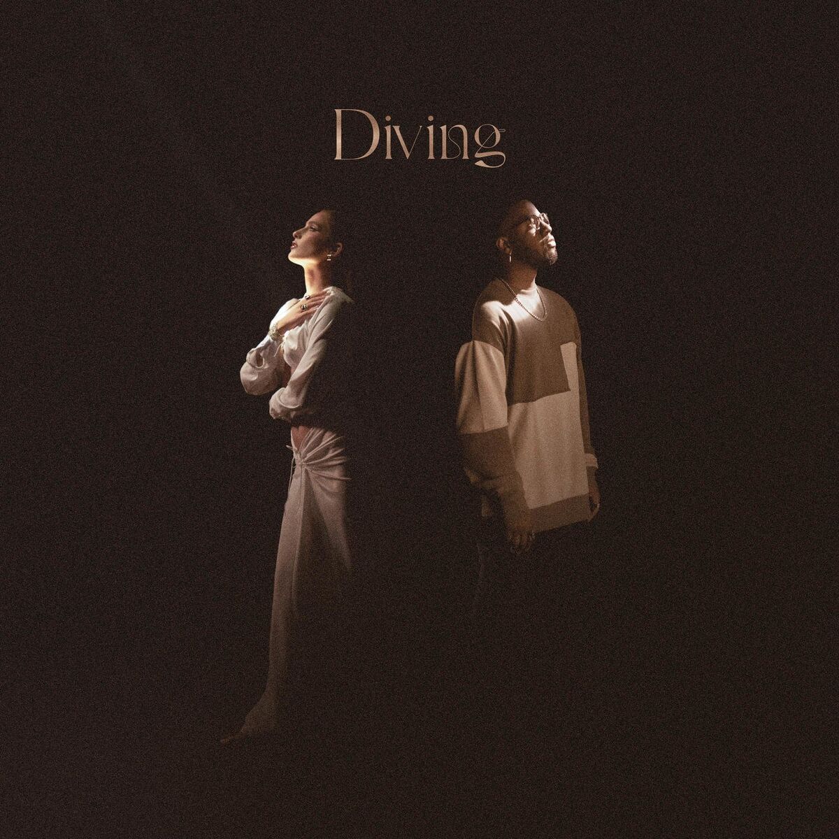 Album cover of Diving
