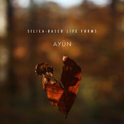 Cover of Silica-Based Life Forms