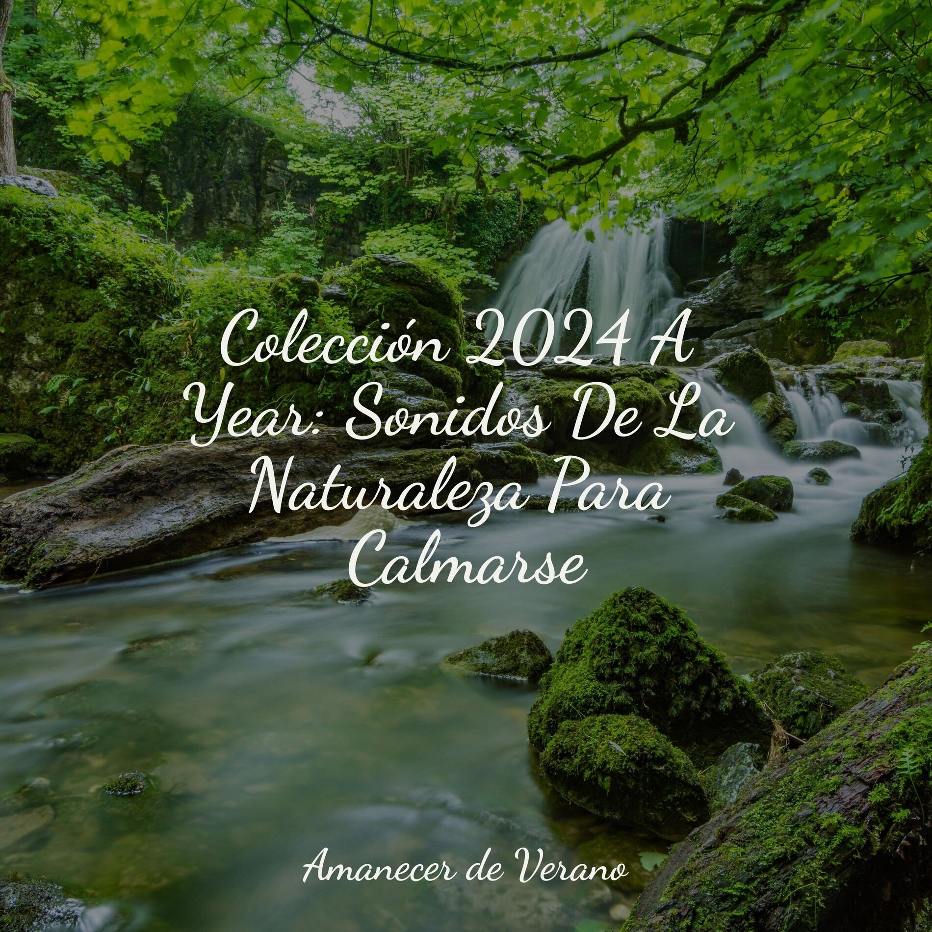 Album cover of Colección 2024 A Year: Sonidos De La Naturaleza Para Calmarse