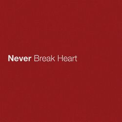 Cover of Never Break Heart