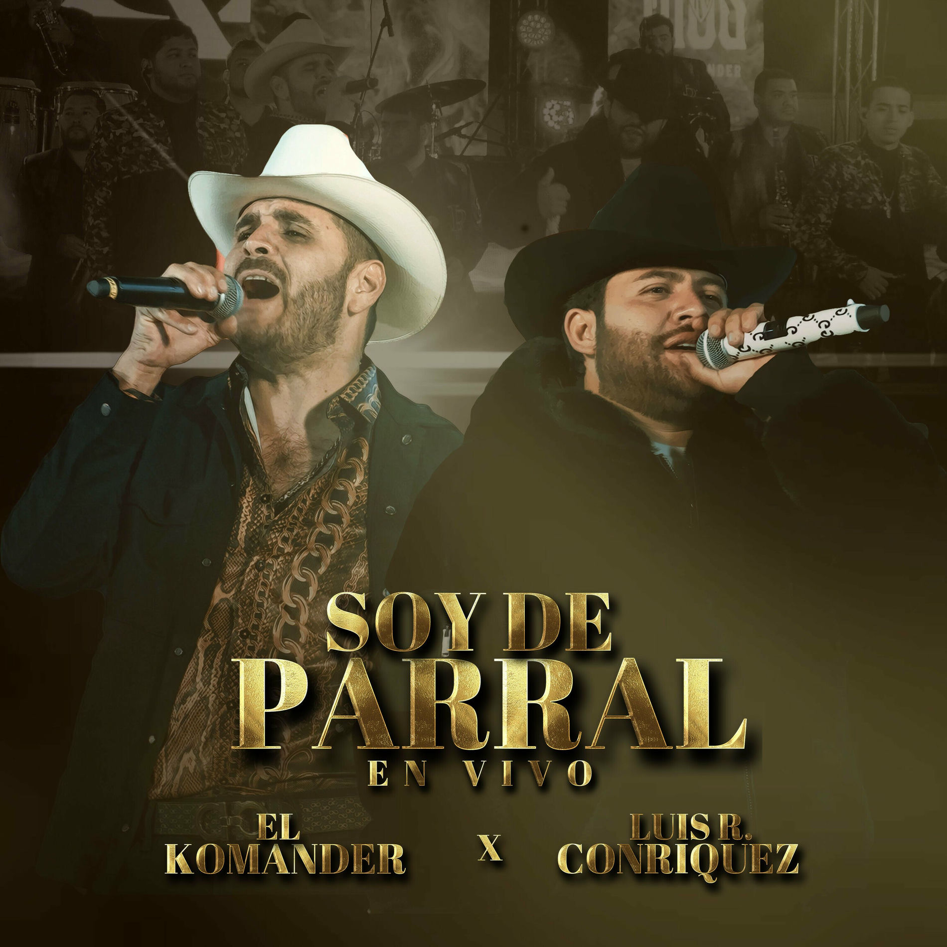 Album cover of Soy de Parral