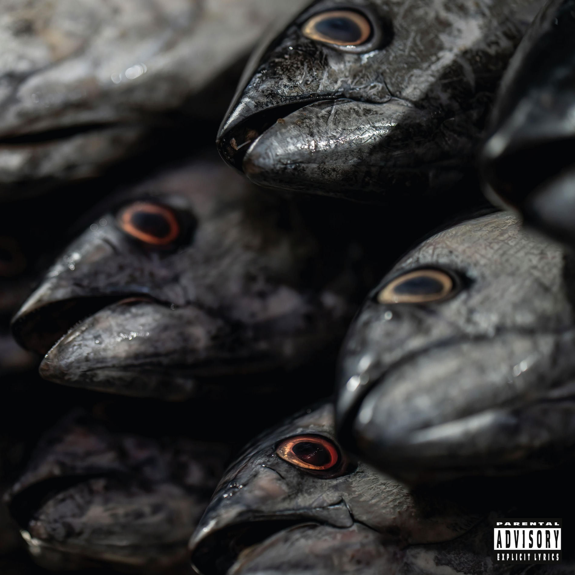 CRIMEAPPLE: albums, songs, concerts | Deezer