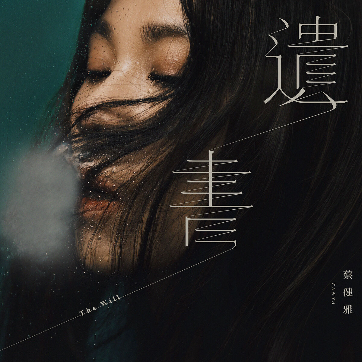 Album cover of 遺書
