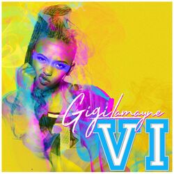Cover of VI
