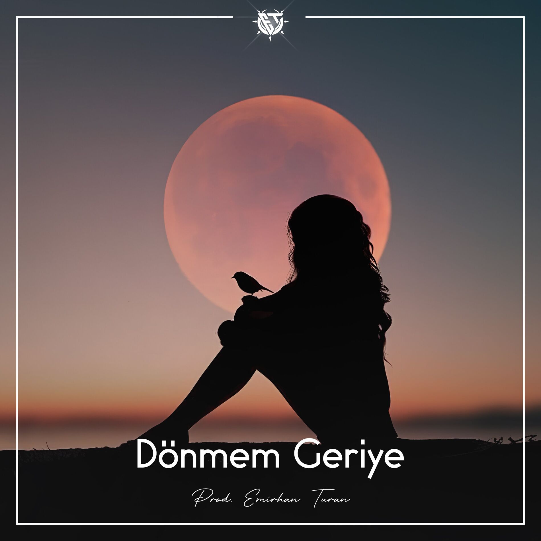 Album cover of Dönmem Geriye