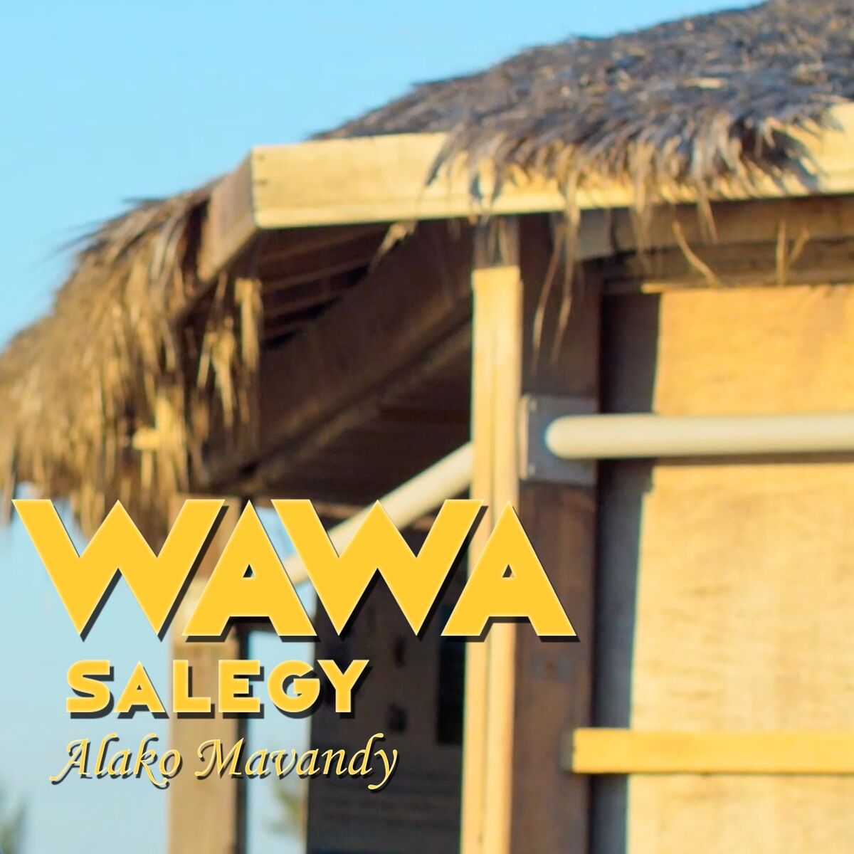Album cover of Alako Mavandy
