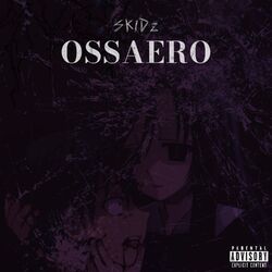 Cover of OSSAERO
