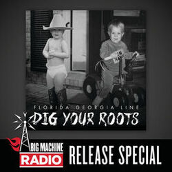 Cover of Dig Your Roots (Big Machine Radio Release Special)