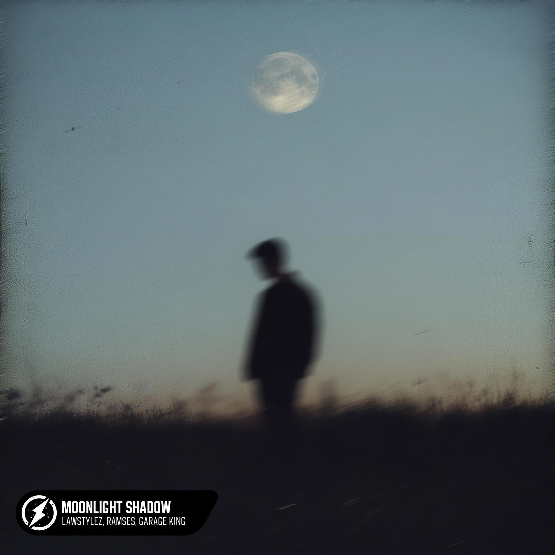 Album cover of Moonlight Shadow