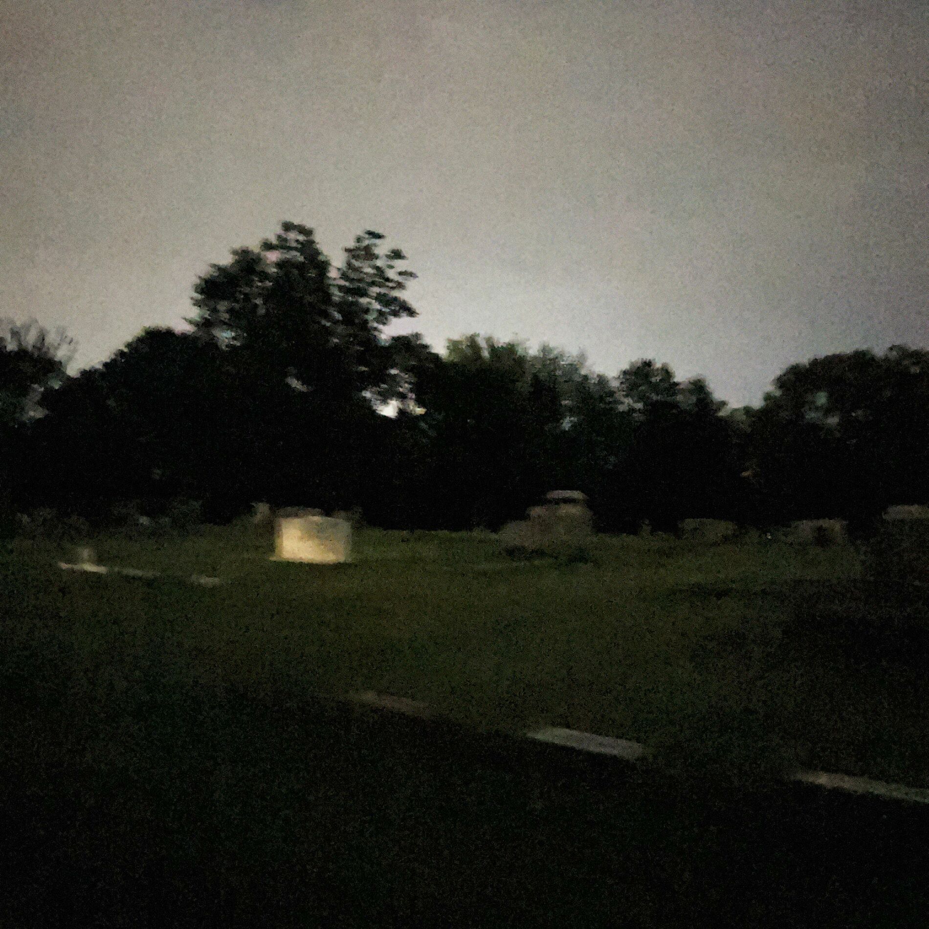 Album cover of delusion
