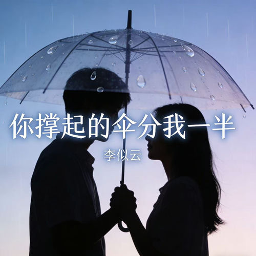 你撑起的伞分我一半