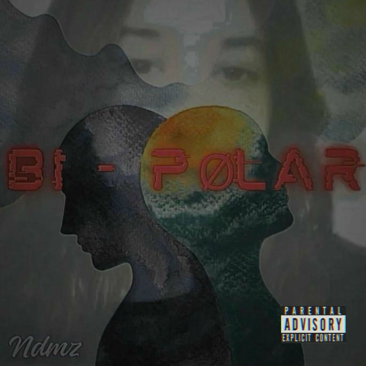 Album cover of BI-PØLAR