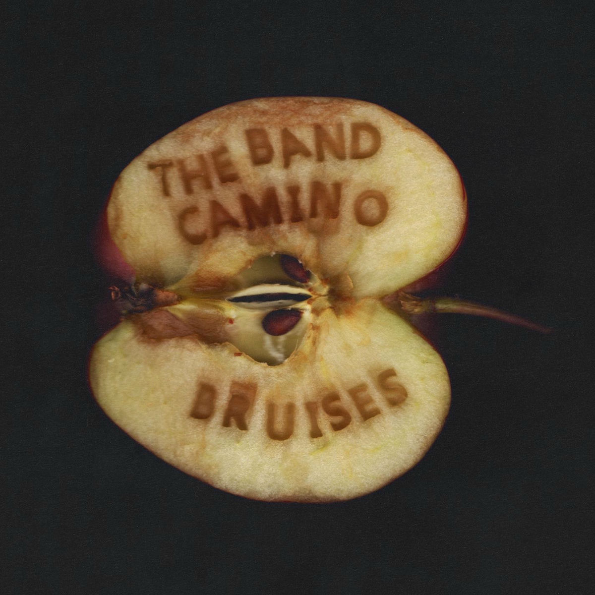 Album cover of Bruises