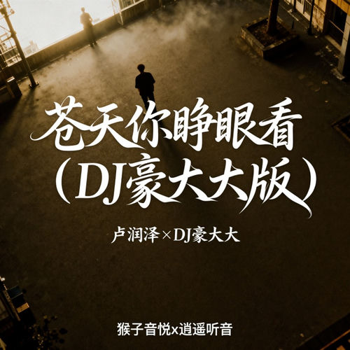 苍天你睁眼看（DJ豪大大版）