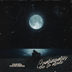 Pochette album