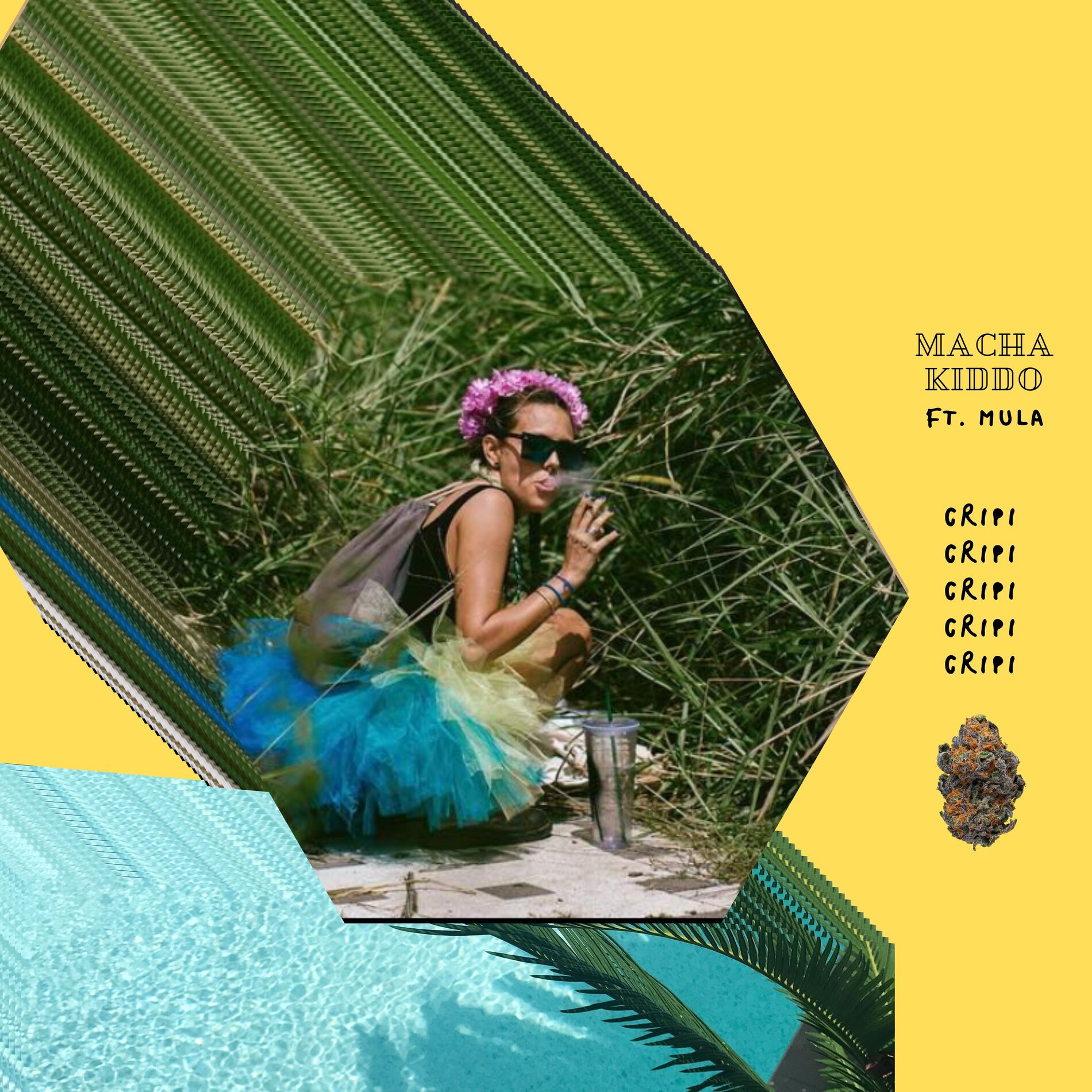 Album cover of Cripi