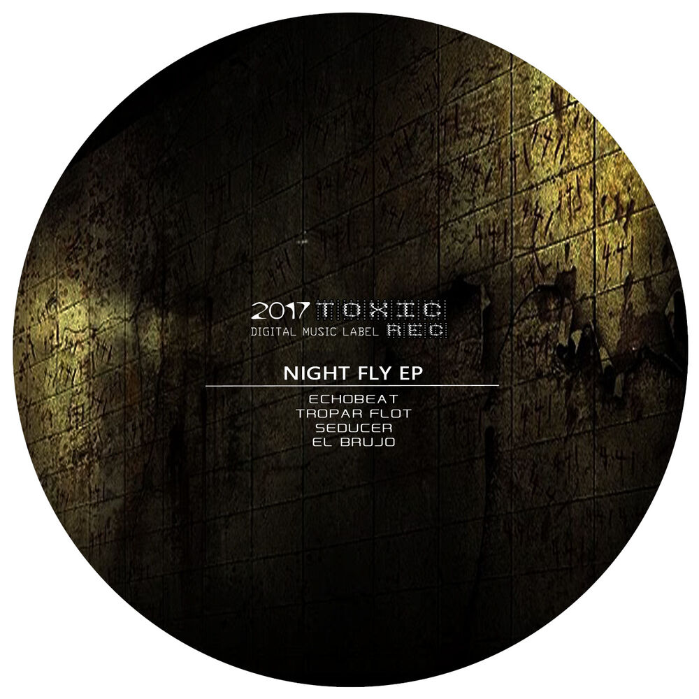 Picture of Night Fly