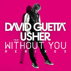 Cover of Without You (feat. Usher) (Remixes)