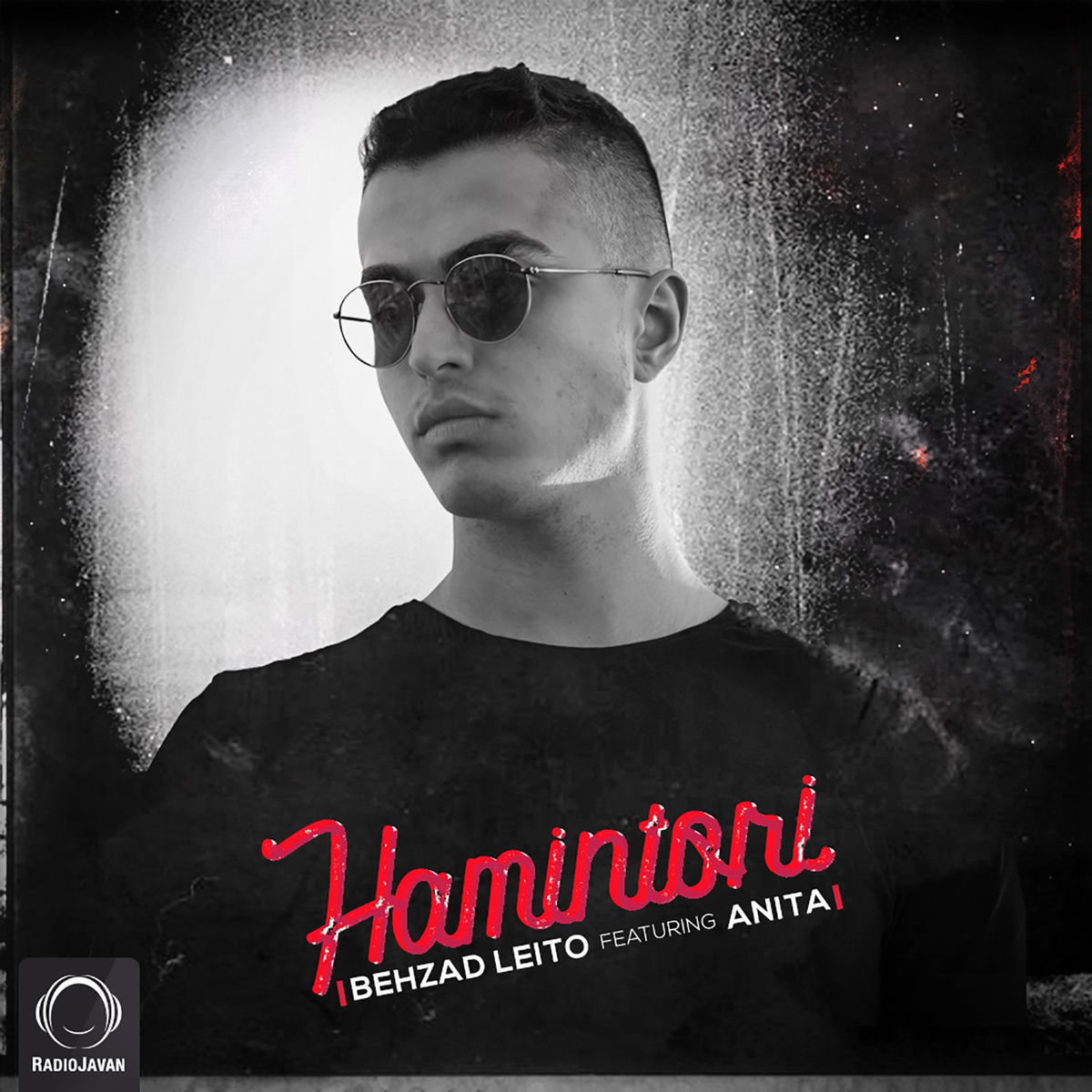 Album cover of Hamintori
