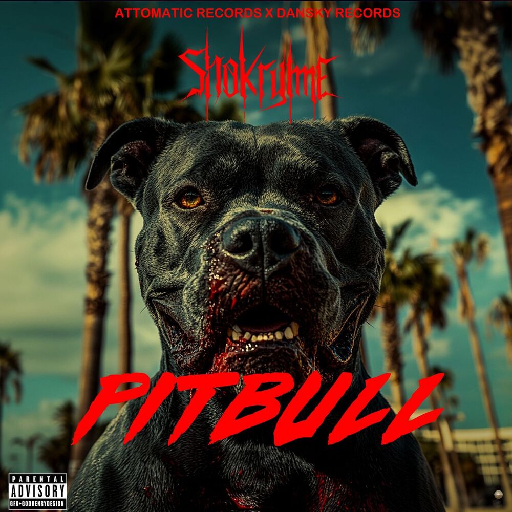 Picture of Pitbull