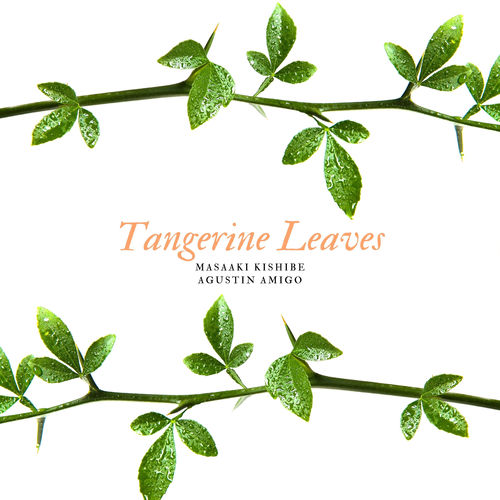 Tangerine Leaves by Masaaki Kishibe - 133 BPM