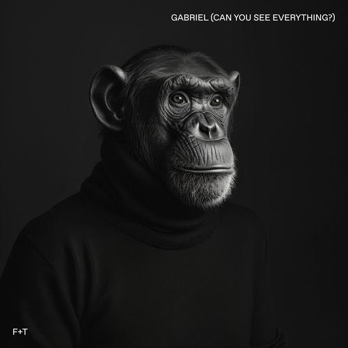 Gabriel (Can You See Everything?)