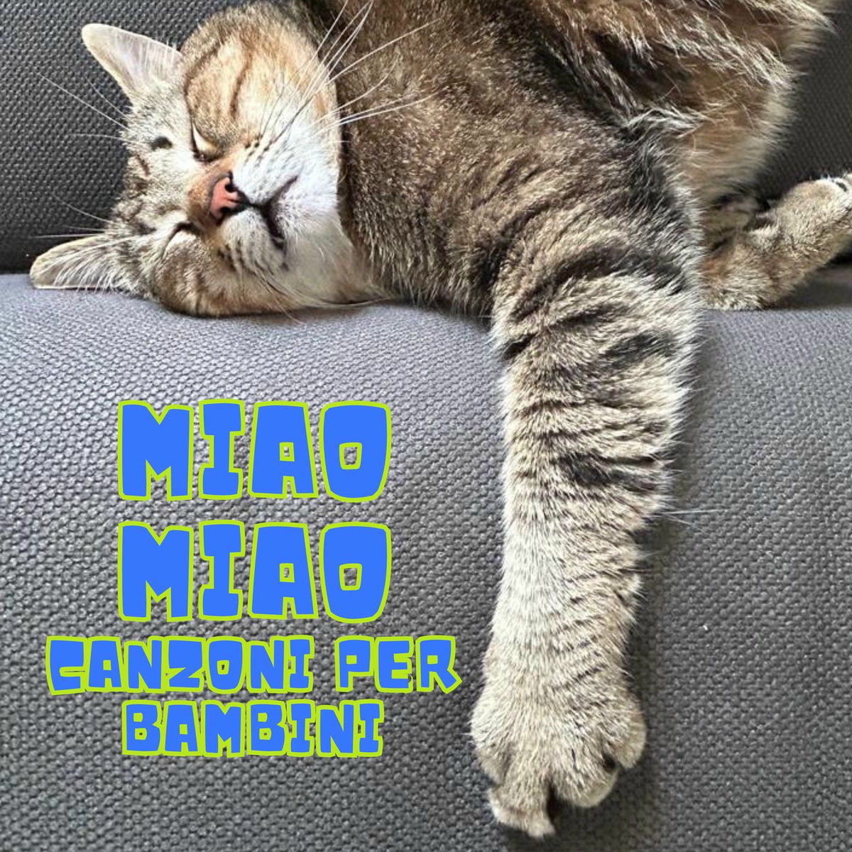Album cover of Miao Miao Canzoni per bambini
