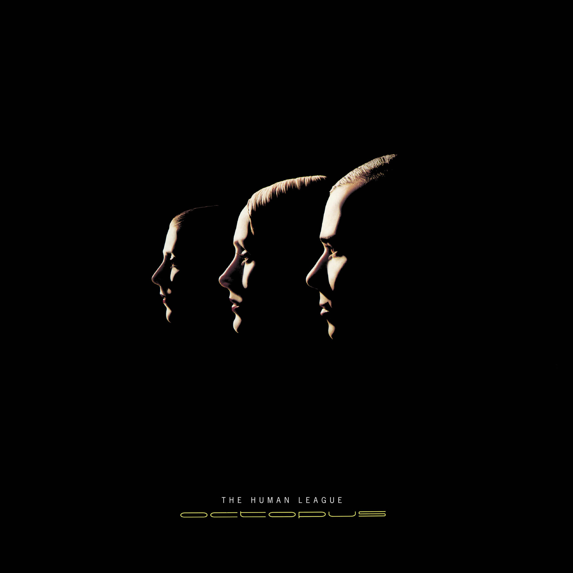 Album cover of Octopus (Special Edition)