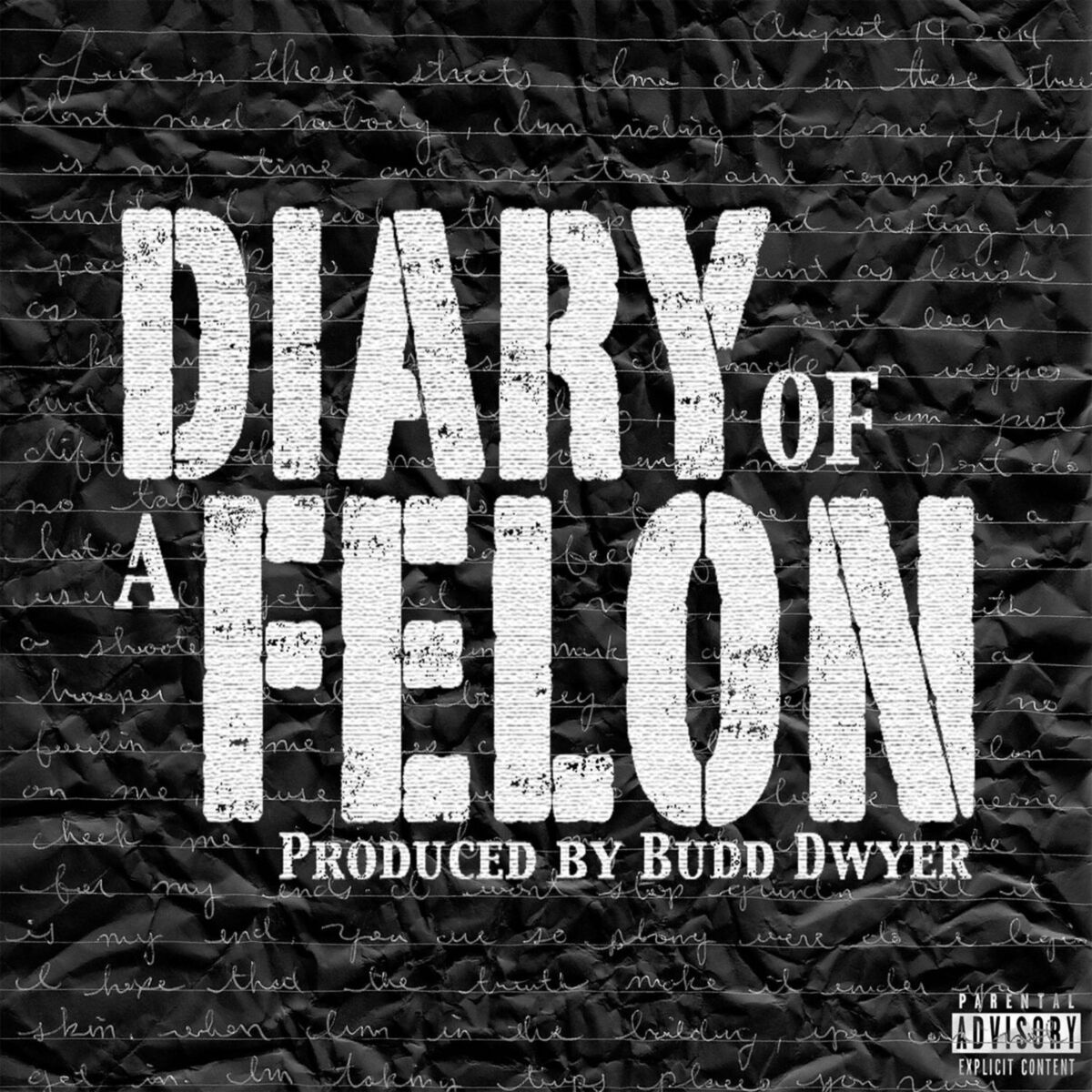 Album cover of Diary of a Felon