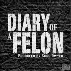 Cover of Diary of a Felon