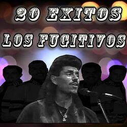 Cover of 20 Exitos