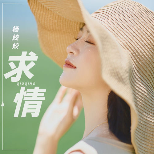 求情