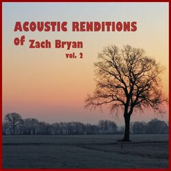 Cover of Acoustic Renditions of Zach Bryan, Vol. 2 (Instrumental)